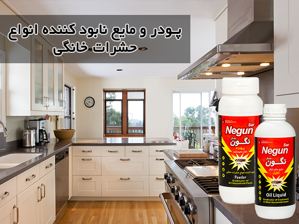 نابود کننده نگون سار